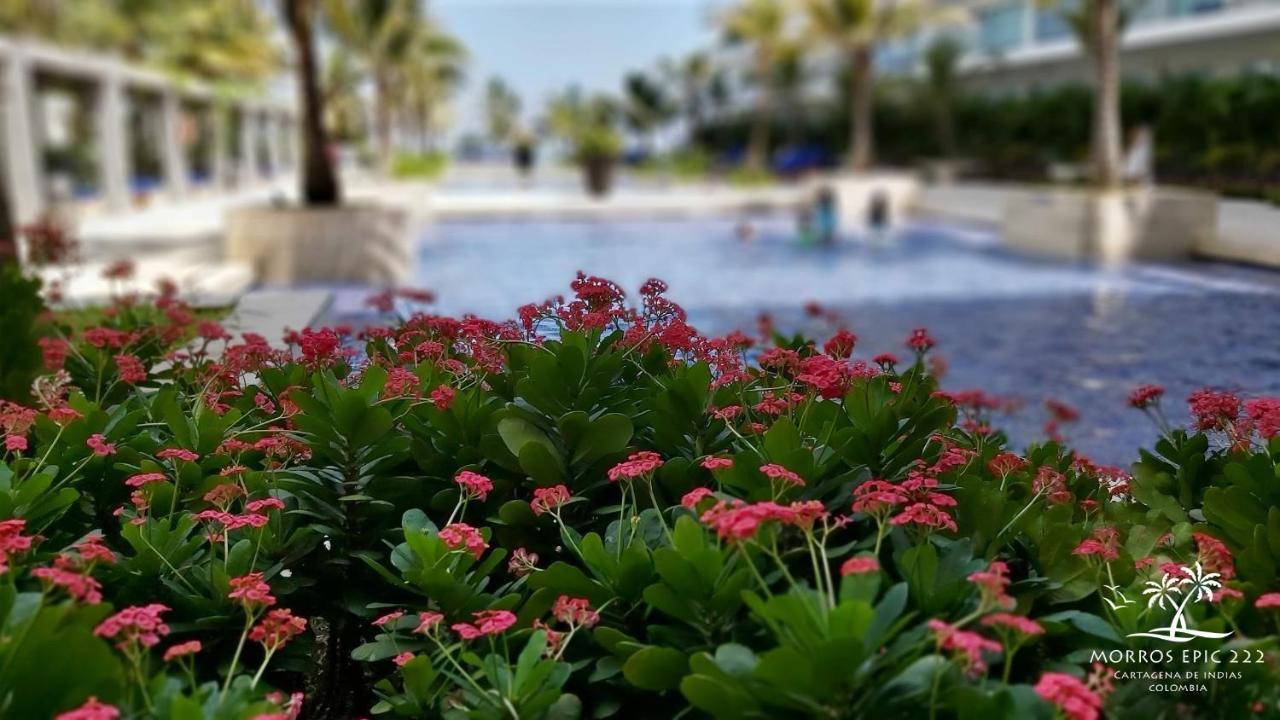 Morros Epic 222 Appartement Cartagena Buitenkant foto